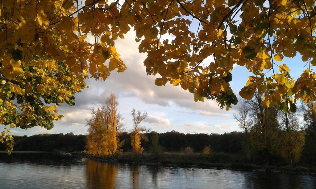 Bed and Breakfast La Chaumiere Ousson-sur-Loire Exterior foto
