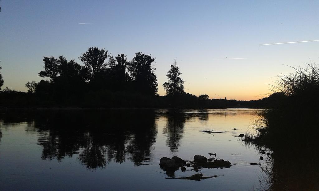 Bed and Breakfast La Chaumiere Ousson-sur-Loire Exterior foto