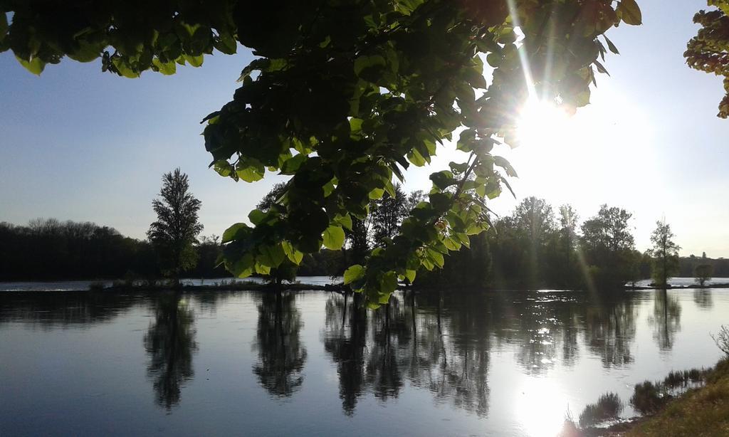 Bed and Breakfast La Chaumiere Ousson-sur-Loire Exterior foto