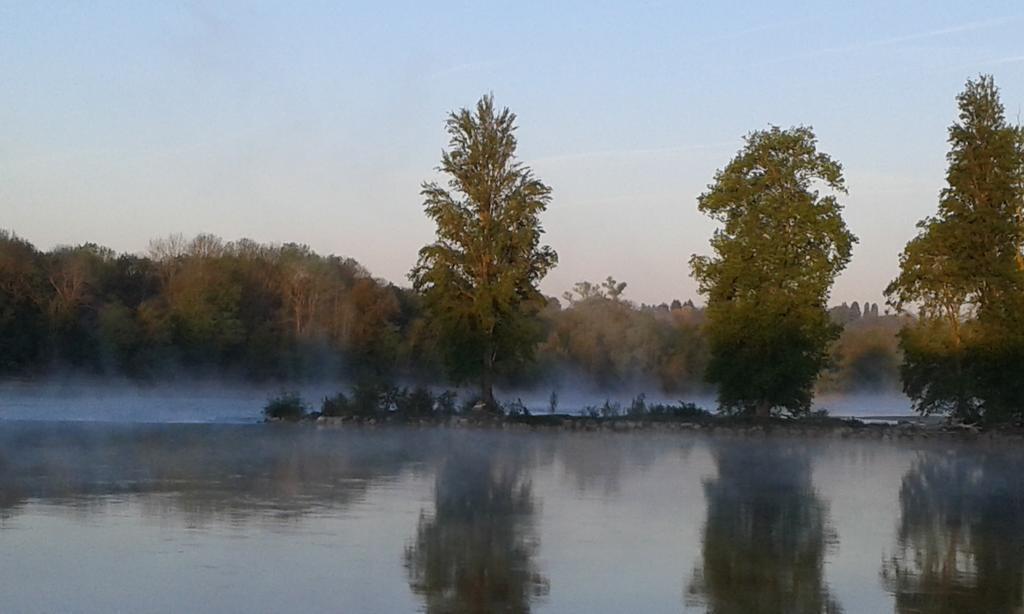 Bed and Breakfast La Chaumiere Ousson-sur-Loire Exterior foto