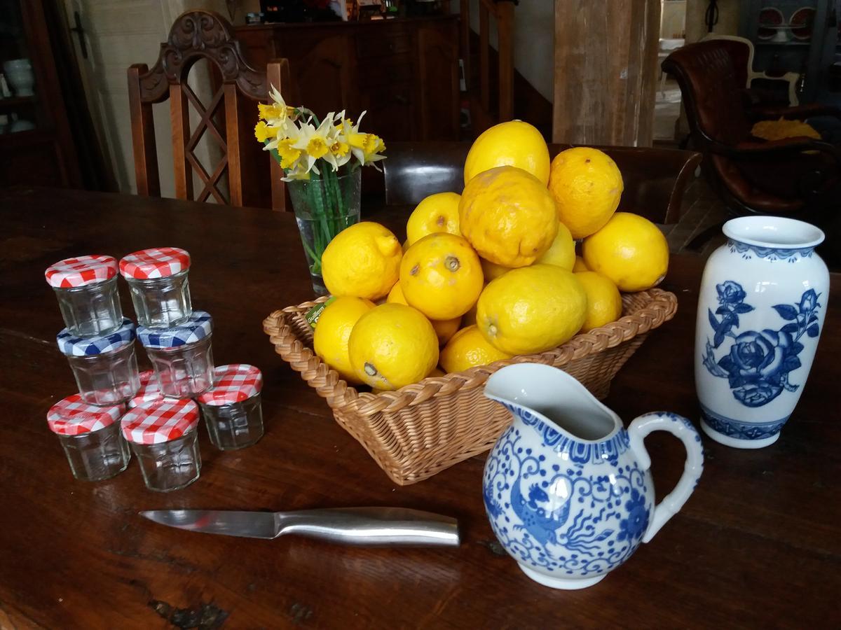Bed and Breakfast La Chaumiere Ousson-sur-Loire Exterior foto