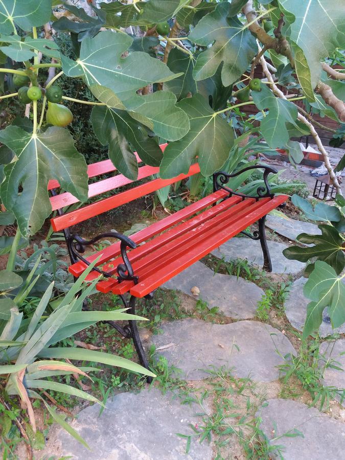 Bed and Breakfast La Chaumiere Ousson-sur-Loire Exterior foto